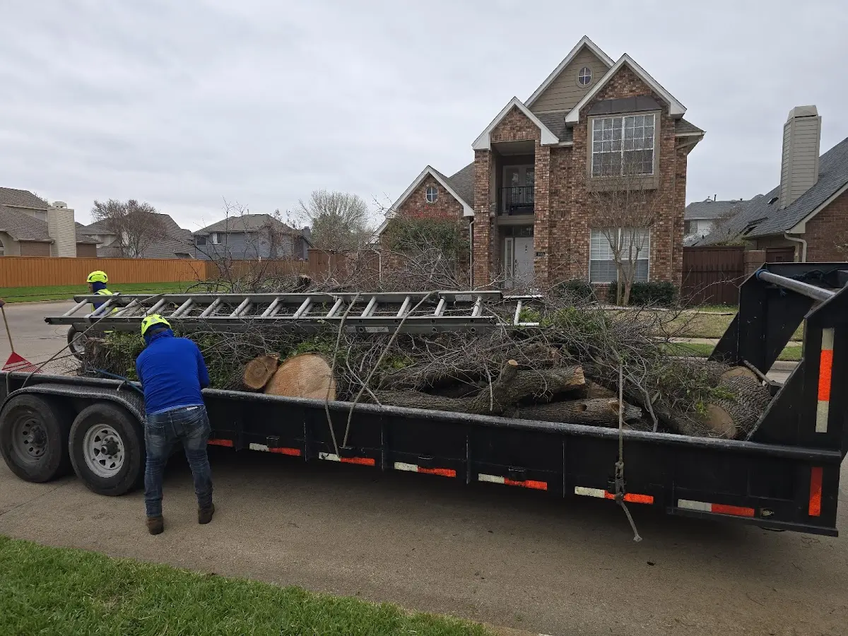 Expert Tree Fertilization with proper safety equipment in Chili